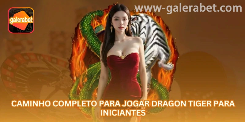 Análise prática de Dragon Tiger online na GALERABET com atenção a Pix, saque e jogo responsável